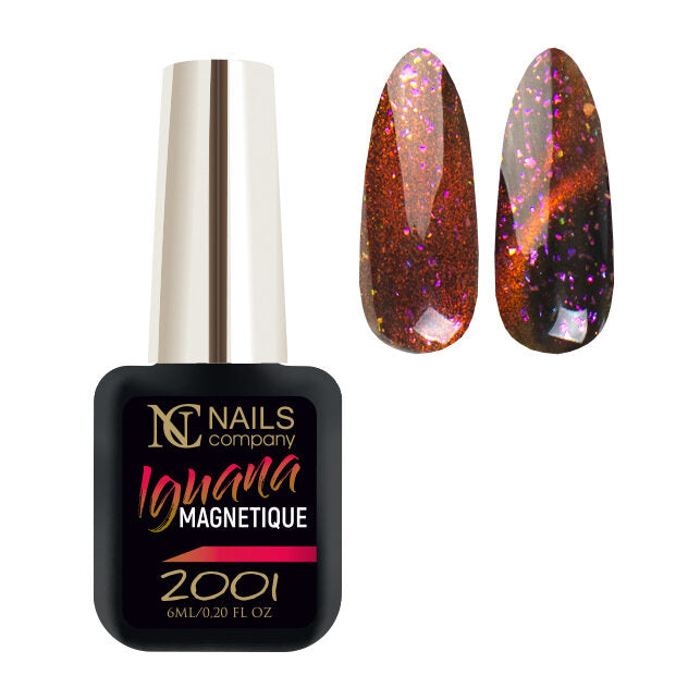 UV Nail Polish - Iguana No. 2001 6ml | Cat Eye | Magnetic #015