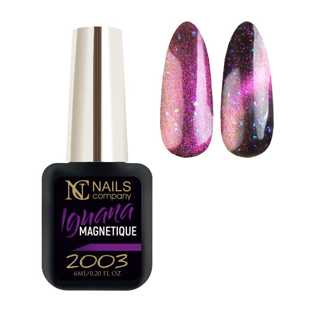 UV Nail Polish - Iguana No. 2003 6ml | Cat Eye | Magnetic #017